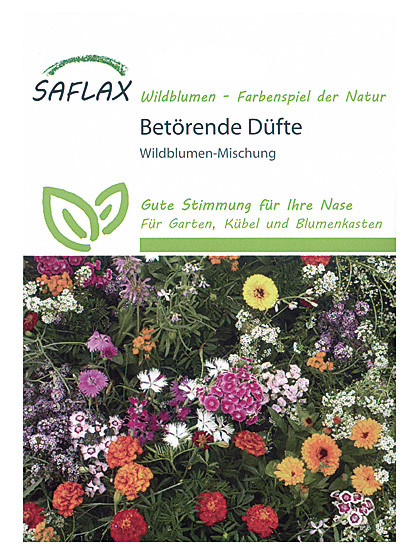 Wildblumen-Mischung, 1000 Samen