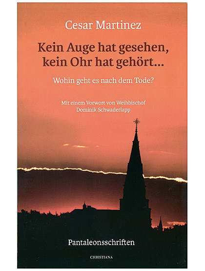 Kein Auge hat gesehen, Kein Ohr hat gehört - 136 Seiten