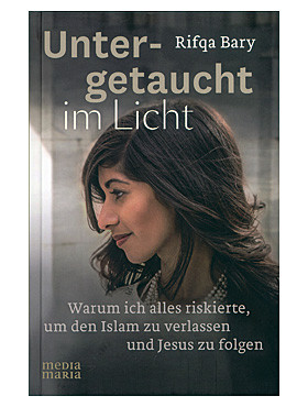 Untergetaucht im Licht, 288 Seiten