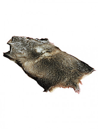 Dachsfell, ca. 60 cm